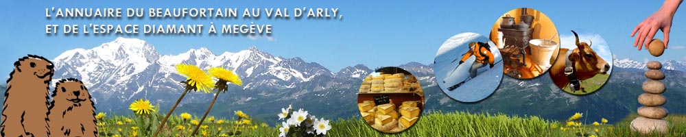 ANNUAIRE BEAUFORTAIN VAL D'ARLY MEGEVE ESPACE DIAMANT