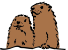 Les Marmottes du BVA